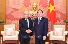 Phó Chủ tịch Quốc hội Nguyễn Đức Hải tiếp Chủ tịch Tổ chức Hỗ trợ đại học thế giới (Đức)