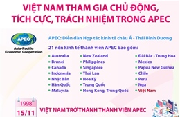 Việt Nam tham gia chủ động, tích cực, trách nhiệm trong APEC