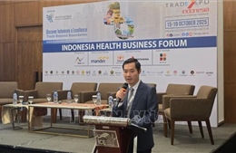 Việt Nam – Indonesia khai thác tiềm năng hợp tác kinh tế đa lĩnh vực