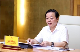 Hoàn thiện cơ sở dữ liệu quản lý khai thác thủy sản &#39;đúng, đủ, sạch, sống&#39;