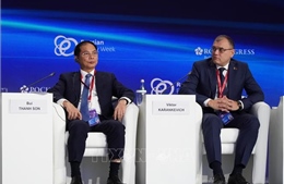 Phó Thủ tướng Bùi Thanh Sơn: Năng lượng là nền tảng của hòa bình và phát triển