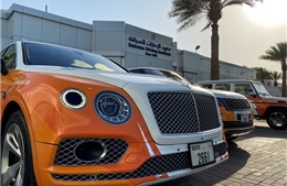 Cảnh sát châu Âu triệt phá đường dây tuồn xe ô tô ăn cắp sang Dubai