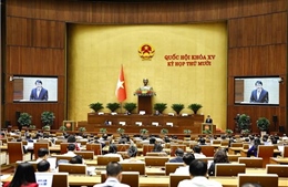 Thông cáo báo chí số 11, Kỳ họp thứ 10, Quốc hội khóa XV