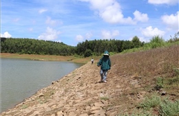 Năm tỉnh, thành Trung Bộ và Tây Nguyên đảm bảo an toàn đê điều, ứng phó bão, mưa lũ