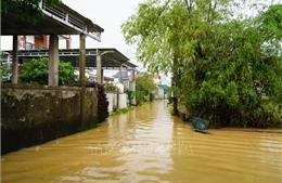 Quảng Trị: Hơn 3.600 nhà dân bị ngập nước do mưa lớn kéo dài