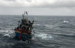 Hỗ trợ ứng cứu tàu cá gặp sự cố, thả trôi trên biển