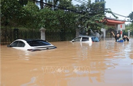 Mưa lớn sau bão số 11 làm thiệt hại gần 22.600 ha cây trồng, gần 17.000 nhà bị ngập