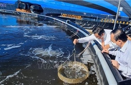 Đầu tư khoa học công nghệ để tăng năng suất, nâng chất cho thủy sản Việt