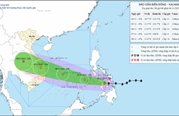 Thủ tướng Chính phủ yêu cầu chủ động phòng, tránh, ứng phó với bão KALMAEGI