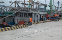 Thủ tướng Chính phủ yêu cầu chủ động ứng phó bão số 15 với phương châm chủ động phòng ngừa