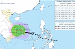 Trong 3 giờ qua, bão số 15 hầu như ít dịch chuyển