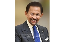Quốc vương Brunei Darussalam đến Hà Nội, bắt đầu chuyến thăm cấp Nhà nước tới Việt Nam