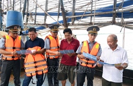 Đà Nẵng siết chặt quản lý tàu cá