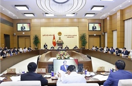 Cơ chế, chính sách đặc thù phát triển TP Hồ Chí Minh và Đà Nẵng cần có trọng tâm, trọng điểm