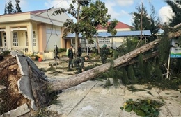 Nỗ lực khôi phục cuộc sống cho người dân Đắk Lắk sau bão số 13