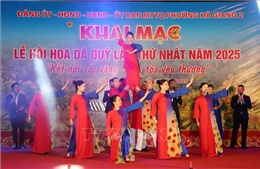 Khai mạc Lễ hội hoa Dã quỳ với chủ đề &#39;Kết nối sắc vàng – Lan tỏa yêu thương&#39;