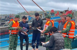 Tuyên truyền chống khai thác thủy sản bất hợp pháp tại âu cảng Bạch Long Vỹ