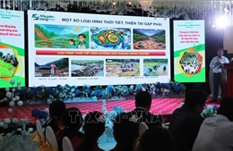 Huế hướng dẫn khôi phục sản xuất nông nghiệp sau mưa lũ