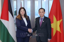 Bộ trưởng Bộ Ngoại giao Lê Hoài Trung hội đàm với Bộ trưởng Bộ Ngoại giao và Kiều dân Nhà nước Palestine