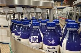 Israel giới thiệu loại sữa độc đáo được sản xuất trong phòng thí nghiệm