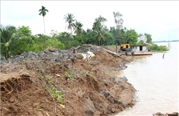 Vĩnh Long: Công bố tình huống khẩn cấp sạt lở đê bao cồn Thanh Long