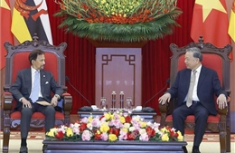 Tổng Bí thư Tô Lâm tiếp Quốc vương Brunei