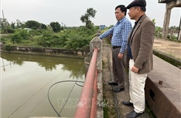 Hải Phòng: Ứng phó với xâm nhập mặn, kiểm soát tốt chất lượng nước đầu vào hệ thống thuỷ lợi