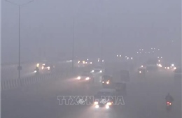 Ấn Độ: Delhi áp dụng biện pháp khẩn cấp đối phó ô nhiễm không khí