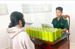 Bộ đội Biên phòng Cà Mau bắt nhiều vụ vi phạm khu vực biên giới biển