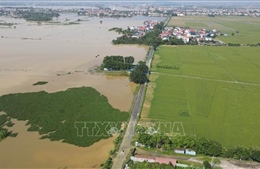 Công bố tình huống khẩn cấp ngập sàn trạm bơm tiêu Tân Hưng, Cẩm Hà 1, Tăng Long