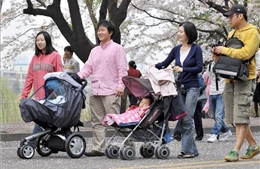 Xu hướng cha nghỉ thai sản tăng mạnh tại Hàn Quốc