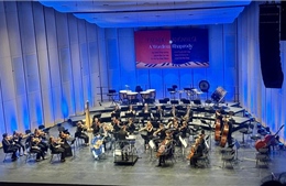 Tấu khúc không lời - Chương trình hòa nhạc kỷ niệm 50 năm quan hệ hữu nghị Việt - Đức