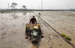 Lấy nước trước Tết, gieo cấy đúng lịch để bảo đảm nguồn tưới vụ Đông Xuân