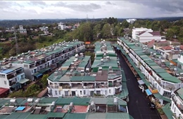 Điểm tin kinh tế Việt Nam nổi bật ngày 5/12/2025