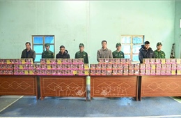 Phát hiện, xử lý các hành vi vi phạm pháp luật