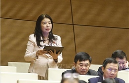 Hoàn thiện mô hình Tòa án chuyên biệt tại Trung tâm tài chính quốc tế