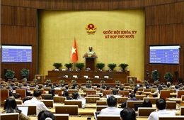 Thông cáo báo chí số 39, Kỳ họp thứ 10, Quốc hội khóa XV