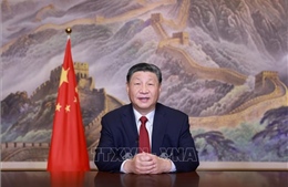 Chủ tịch Trung Quốc hoan nghênh những tiến bộ vững chắc của đất nước 