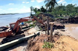 Vĩnh Long khắc phục kip thời sạt lở cồn Thanh Long