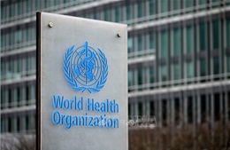 WHO ra mắt thư viện số toàn cầu về y học cổ truyền