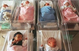 Australia đối mặt vối tỷ lệ sinh thấp kỷ lục