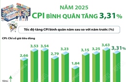 CPI bình quân năm 2025 tăng 3,31%