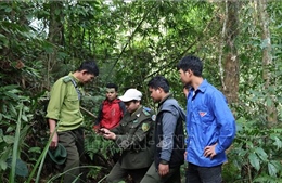 Chuyển đổi quản lý, bảo vệ rừng - Bài 2: Cộng đồng và công nghệ số tạo lá chắn