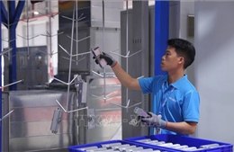 Đoàn viên công đoàn - lực lượng nòng cốt xây dựng Hải Phòng phát triển bền vững