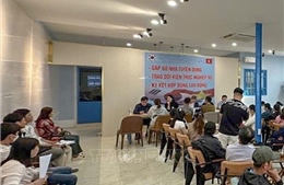 Phạt 4 người Hàn Quốc đến Cần Thơ tuyển lao động trái phép