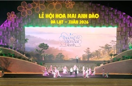 Đông đảo người dân và du khách tham dự khai hội hoa mai anh đào Đà Lạt