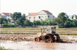 Trên 38% diện tích có nước để gieo cấy vụ Đông Xuân
