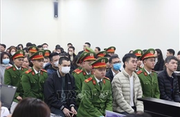 Vụ sữa giả tại Z Holding: Phân biệt giữa hàng giả và hàng kém chất lượng