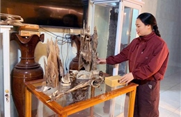 Trầm hương lên sàn, lan tỏa thương hiệu OCOP Hà Tĩnh