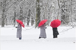 Bão càn quét châu Âu, nhiều nước thiệt hại nghiêm trọng